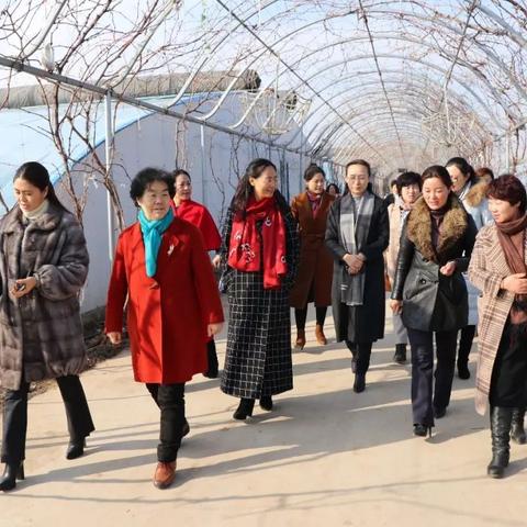 巾帼风采,风控剖析、解释与落实2025港澳免费资料大全，警惕欺诈套路危害2025年全年资料大全软件介绍乡村振兴