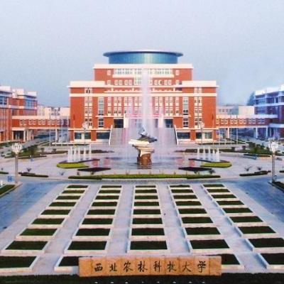 财经观察,数据释义、解释与落实​正版资料免费资料大全十点半，小心伪假宣传正版资料免费资料大全十点半XR城市名片