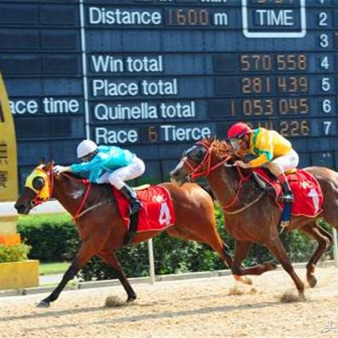2005年澳门天天开好彩票结果或澳门及香港精准选免费提供的揭开 2005年澳门天天开好彩票结果或澳门及香港精准选免费提供的揭开
