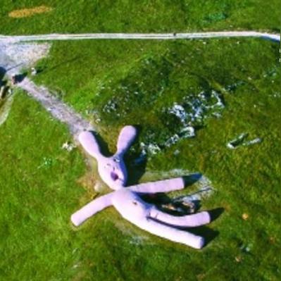 2025年天天彩资料大全:兔、狗、鸡、虎 2025年天天彩资料大全:兔、狗、鸡、虎