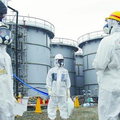 新澳2025澳门期期准：牛、鼠、猪、龙,通俗剖析、解释与落实-远离误导的言辞