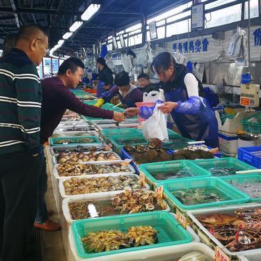 置疑:2025年新澳门正版内部333期：马、狗、鸡、兔战略释义、专家解读解释与落实,谨防虚假美化陷阱