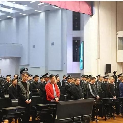 2025新澳门历史记录走势：鸡、鼠、猴、马和警觉虚假美化-根源解答、专家解析解释与落实